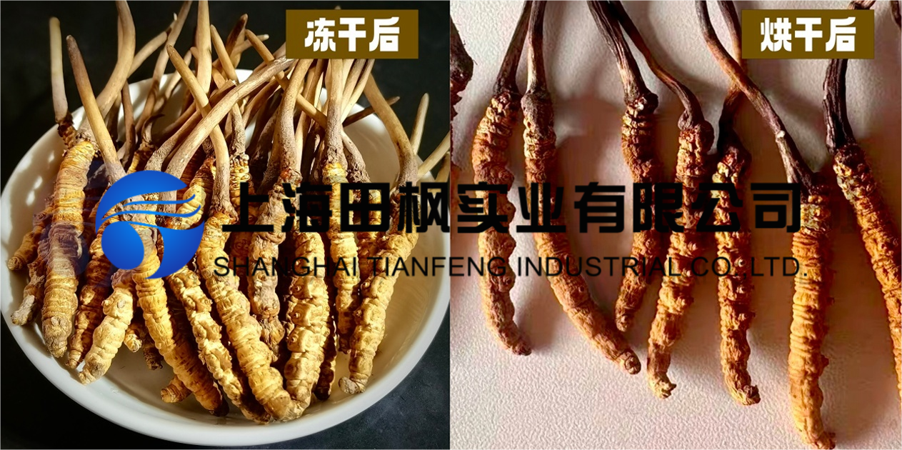 17465764223301.png 圖片 1.png