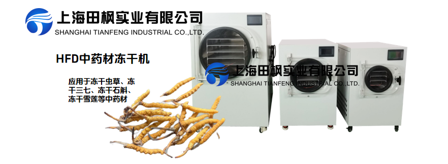 凍干機在中藥材蟲草加工中的應用