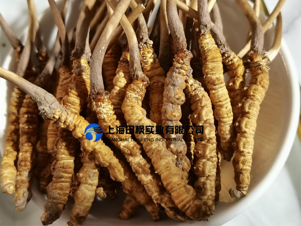 17526497692615.png 圖片 1(1).png